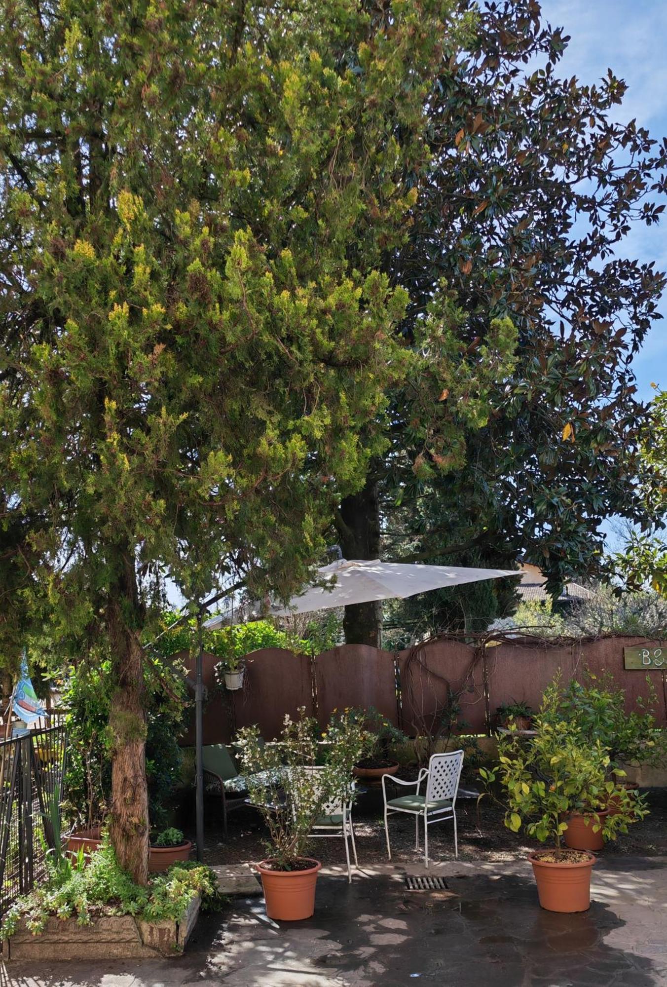 B&B Lamagia Di Corte Moronati Sirmione Bagian luar foto